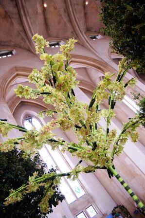 /images/FlowerGala/wnave (9).jpg